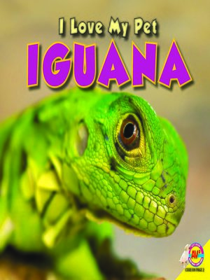 cover image of Iguana